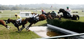 What Is The Origin Of The Steeplechase?