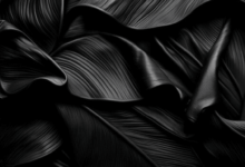 Wallpaper:Dazevovfbdw= Black