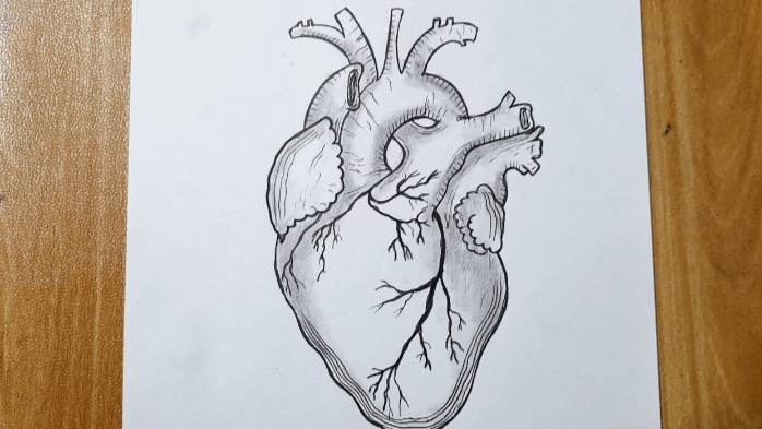 Drawing:16tykyk-J8c= Heart