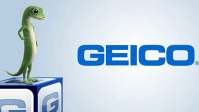 Logo:42rvzfvmjhc= Geico