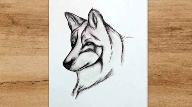 Drawing:7c-Sztc1bqm= Wolf Head