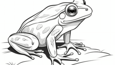 Outline:3ygtd0celne= Frog Drawing