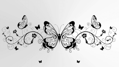 Outline:4l2kwktgk5y= Butterfly Stencil