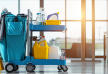 What Services Are Typically Offered by Sydney Cleaning Companies?