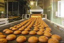 inside a fresh bread bakery Caloundra has today