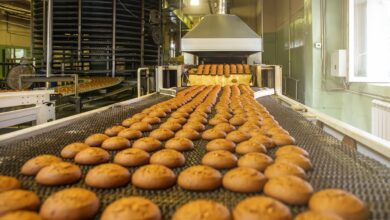 inside a fresh bread bakery Caloundra has today