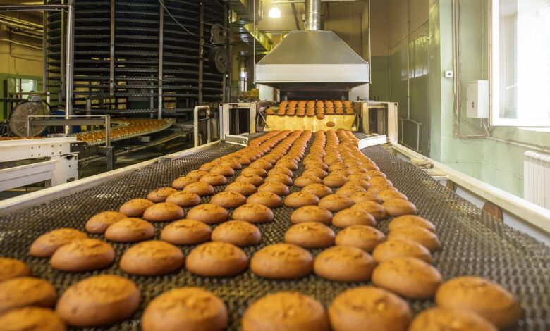 inside a fresh bread bakery Caloundra has today