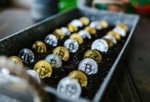 investing for financial growth