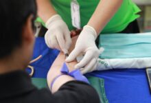 gonzay com services and contact