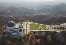 hollywood profile overview details