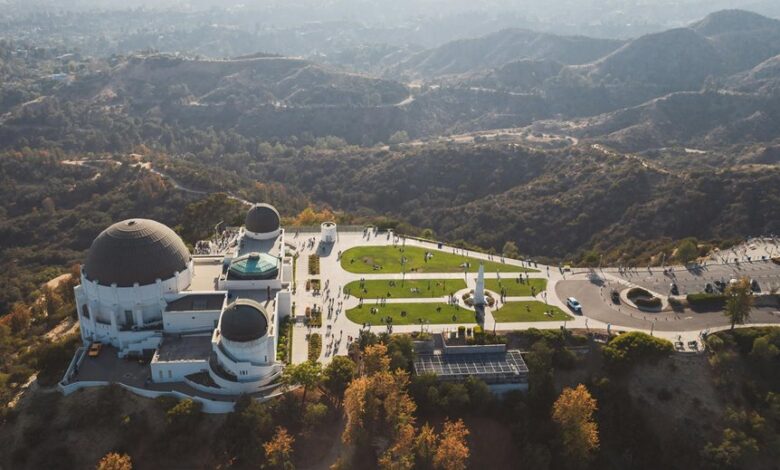 hollywood profile overview details