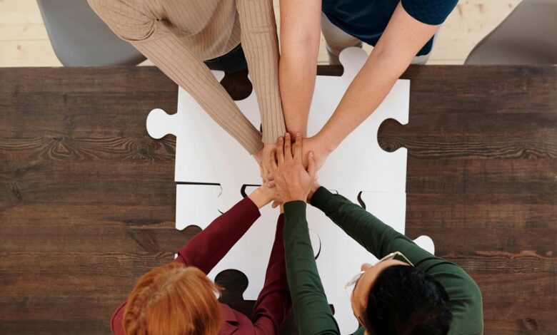 advanced dataset integration process