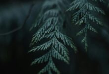 insightful name exploration