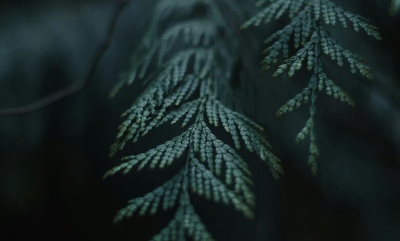 insightful name exploration