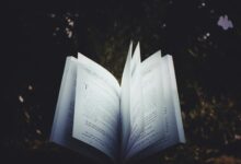 inspiring story of curiosity