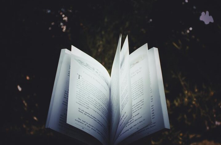 inspiring story of curiosity