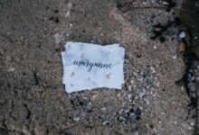 mysterious name exploration unveiled