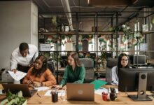 international call background check