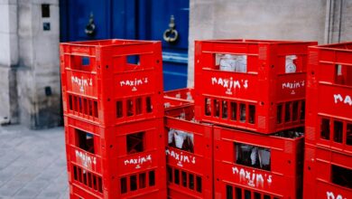 online maximizer growth lighthouse four words