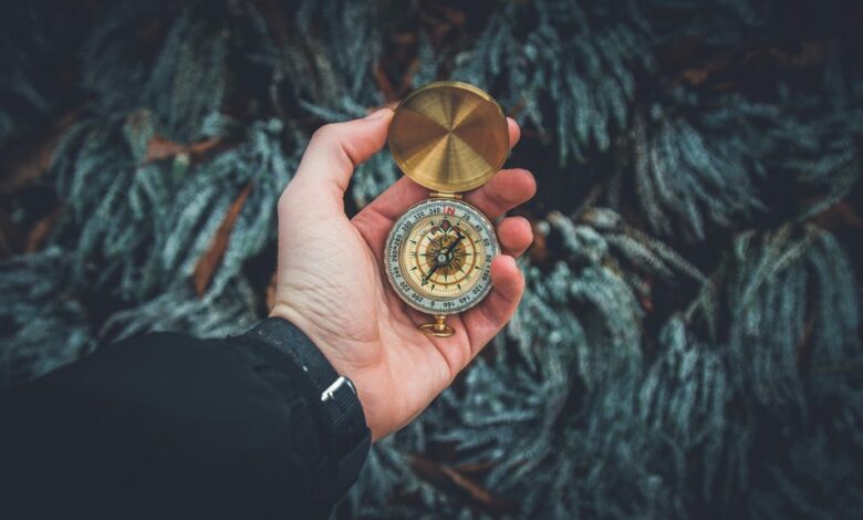 performance engine growth compass