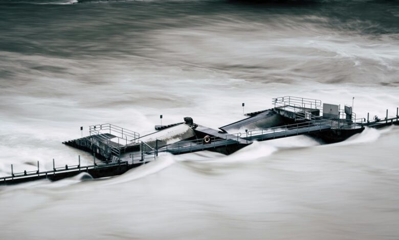 vertex surge growth flow