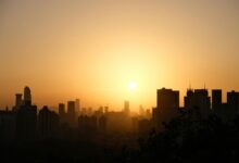 vibrant horizon neon pulse