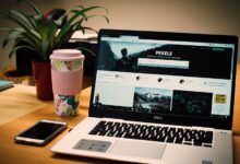 drive your digital presence web solutions 7169324444