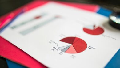 data verification report identifiers names contact