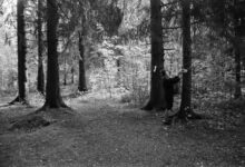 datrihelminen life description details