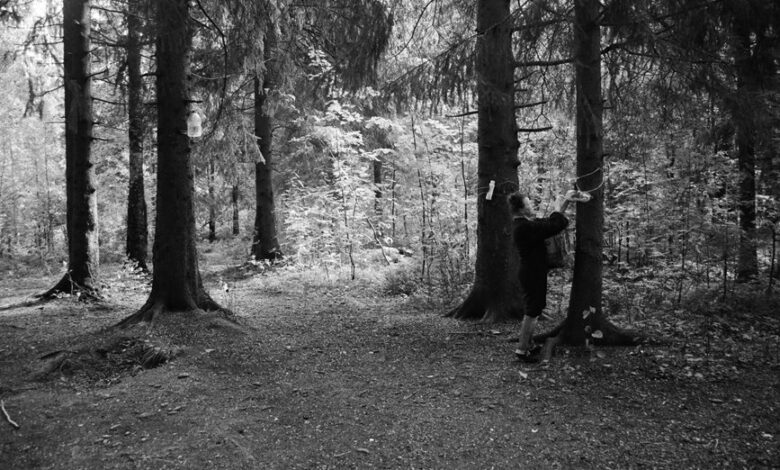 datrihelminen life description details