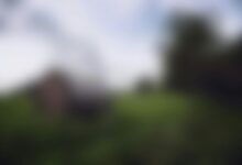 download hazevecad04 online possible four word phrase downloading hazevecad04 online