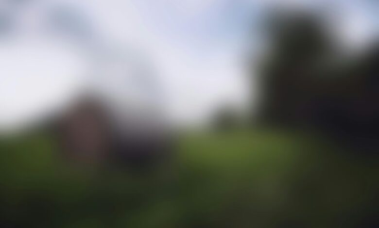 download hazevecad04 online possible four word phrase downloading hazevecad04 online
