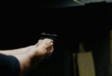 how fast can dlagica tukcavina shoot
