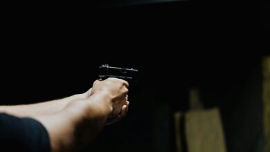 how fast can dlagica tukcavina shoot