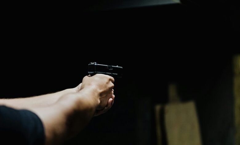 how fast can dlagica tukcavina shoot