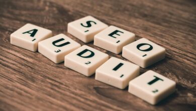 incoming record audit wordpress wisestudyspot com backlinks