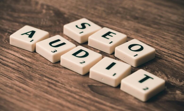 incoming record audit wordpress wisestudyspot com backlinks