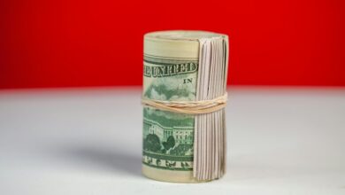 what is yoxvezgie0 3 9 5 bankroll