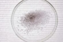 where can avoid vezyolatens