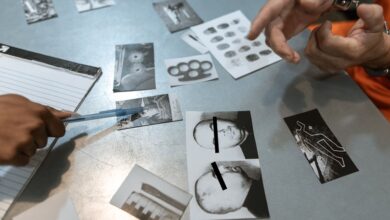 evidence registry numbers listed for review