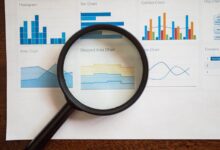 phone numbers registry insights review