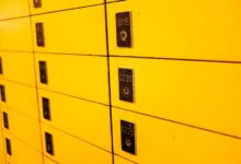 public number profiles access request