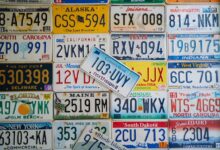 registered numbers detailed identifiers