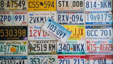 registered numbers detailed identifiers
