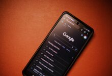 serial number lookup results summary