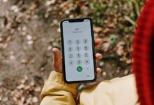 various phone numbers listed